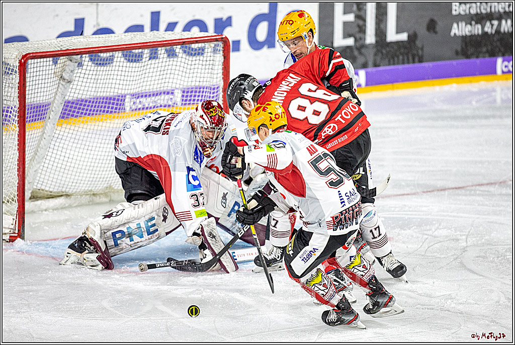DEL;  Koelner Haie - Fischtown Pinguins Bremerhaven; Koeln, 22.12.2019